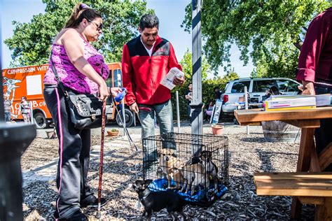 Compassion in Action: Helping the Community & Making a Difference One