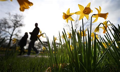 Britains South And East Enjoys Warmest Day Of The Year So Far Uk News The Guardian