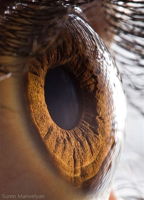 Foto Close Up Pupil Mata Menggunakan Mikroskop Yang Terlihat Unik
