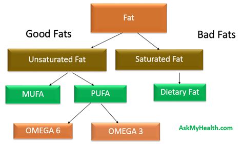 What Are Saturated Unsaturated Dietary And Trans Fats Basics And Facts