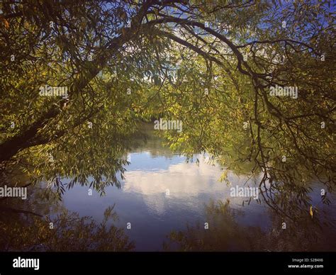 Autumn Reflections Of Trees In The Water Stock Photo Alamy