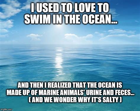Love Meme Ocean Meadow Dixon