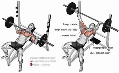 Bench Press Incline Barbell Grip Reverse Guide