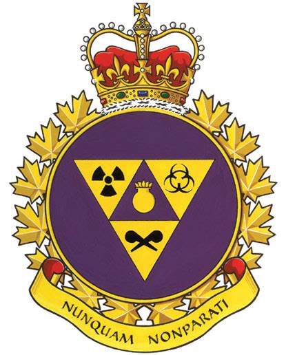 Deputy chief of the general staff. The CANADIAN DESIGN RESOURCE - CFJBCDC Coat of Arms
