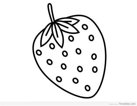 Strawberry Outline Drawing At Getdrawings Free Download