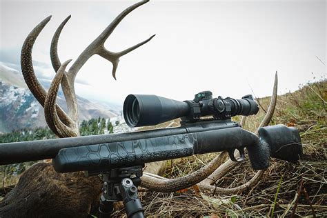 5 Cartridges To Consider For Elk Hunting Exo Mtn Gear
