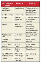 Muscle Workout List Pictures