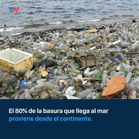 Más Del 80 De La Basura En Las Playas Bonaerenses Es Plástico ¿hacia