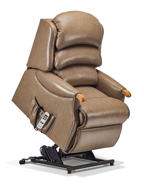 Both single and dual motor recliners also feature electric riser motors to slowly raise or lower you into the chair, reducing the strain on your arms and wrists. Malham Petite Leather Electric Riser Recliner - Sherborne ...