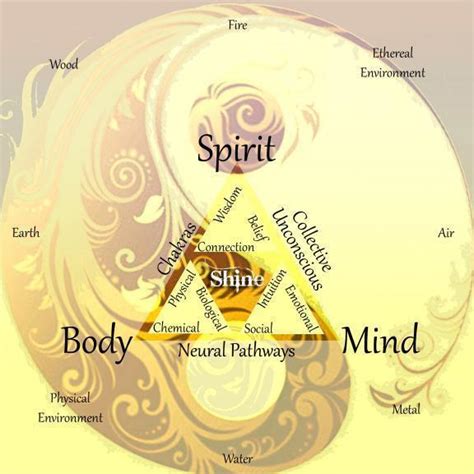 Spirit Body And Awakened Mind The Human Being Is The Awakened