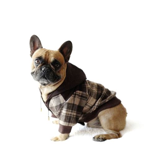 Buy and sell on gumtree australia today! Hoodie Theo | French bulldog, French bulldog puppies ...
