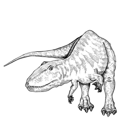 Carcharodontosaurus Dinosaur Drawing By Karl Addison
