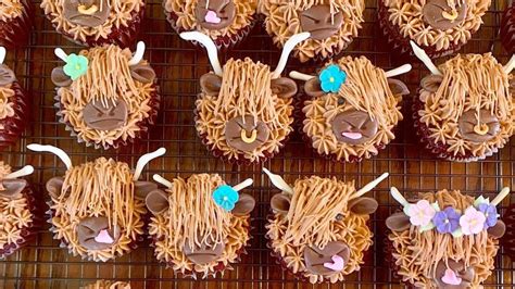 Have The Best Day With These Highland Cow Cupcakes Cow Cupcakes Cow