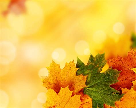 Free Autumn Powerpoint Templates Backgrounds