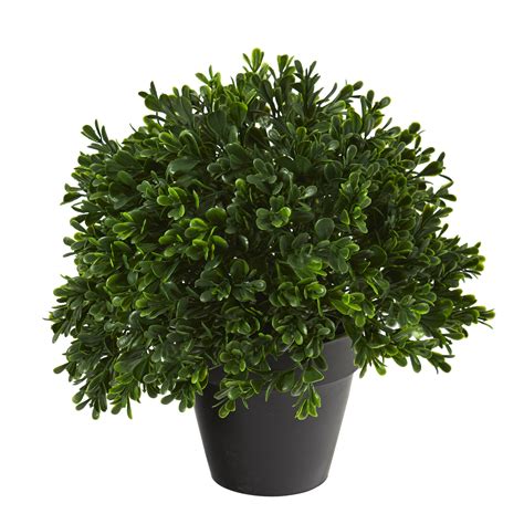 Display flower bush alone with your favorite vase for table arrangements or diy bouquets & centerpieces with other of the mainstays artificial flowers to create a floral arrangement. 10in. Boxwood Topiary Artificial Plant UV Resistant ...