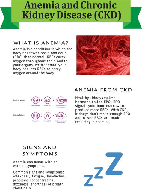 Anemia of chronic disease (acd, also called anemia of inflammation ai, anemia of chronic inflammation, or hypoferremia of inflammation) was initially thought to be associated primarily with infectious, inflammatory, or neoplastic disease. Evolution of Treatment for Anemia in Chronic Kidney ...