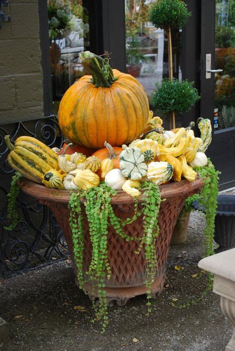 17 Types Of Gourds Ideas Gourds Gourd Art Gourds Crafts