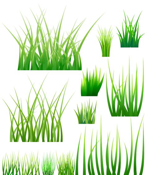 Green Grass Vector Free Download Creazilla
