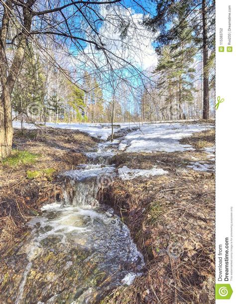 Early Spring Landscape In Forest With Melting Snow And