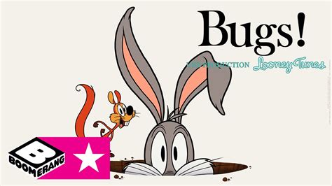 Bande Annonce Bugs Boomerang Youtube