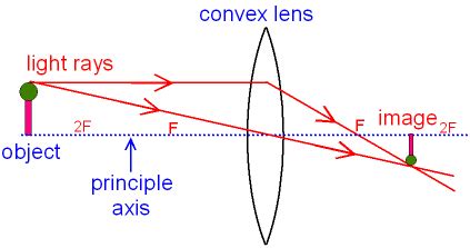 Convex Lens Diagram