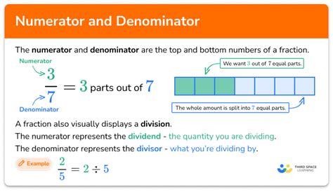Numerator And Denominator Gcse Maths Steps And Examples