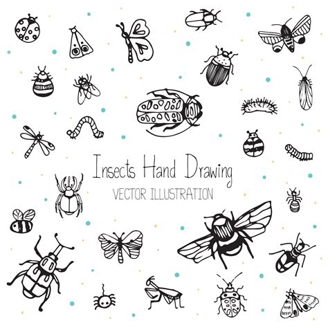 Cute Kids Hand Drawn Sets 26 Species Of Insects Bugs Beetles And Bees