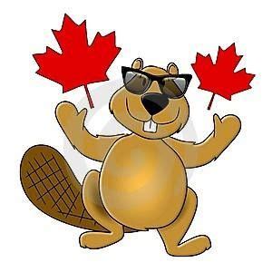 Beaver | Beaver cartoon, Canada day, Beaver