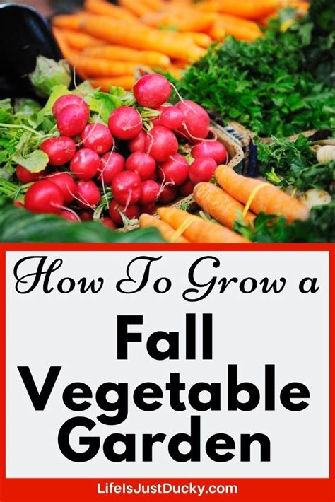 What Is A Fall Garden How Do You Plant A Fall Vegetable Garden