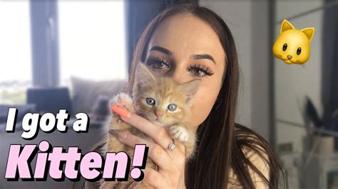 I Got A Kitten Youtube