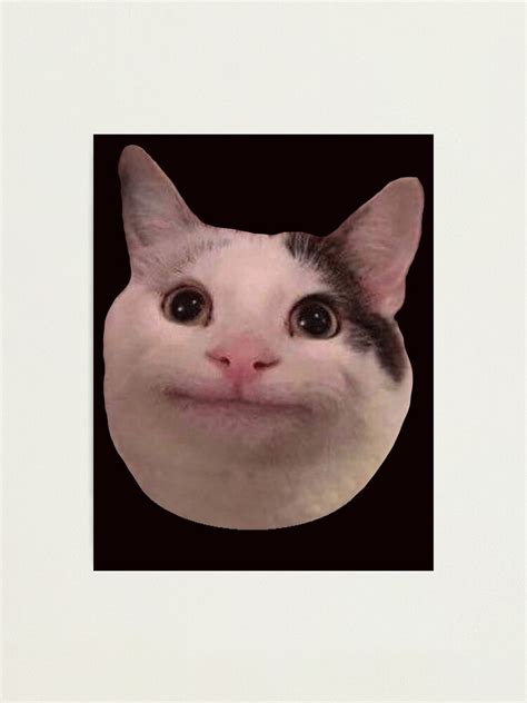 Smiling Polite Cat Meme Photographic Print For Sale By Kawaii2cute