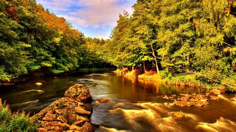 Beautiful Nature Summer River Creek Shore Trees Rocks