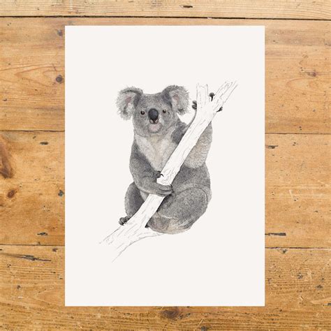 Koala A4 Print - Animal Kingdom, Framed Prints (A4 Size), Giclée