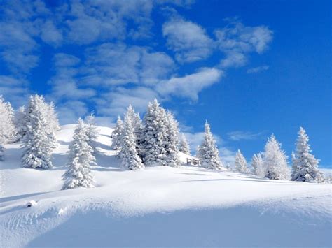 Beautiful Winter Photos 31 Pics