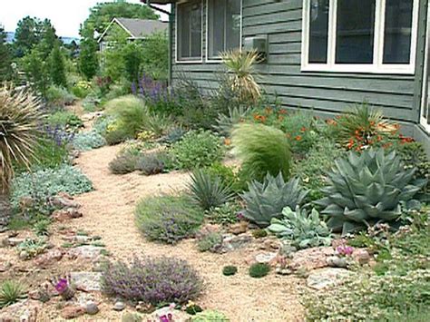Xeriscape Landscaping Creating Resilient Gardens Archive Home