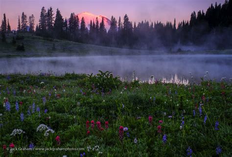 Sold Out Mount Rainier National Park Wildflowers And Landscapes 2019
