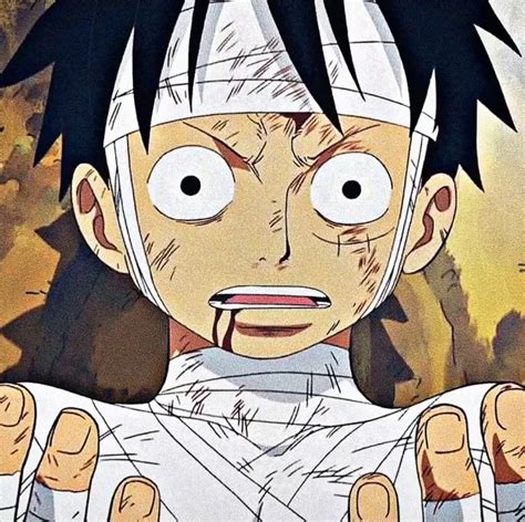 Aesthetic Anime Pfp Luffy 1000 Images About Luffy Trending On We