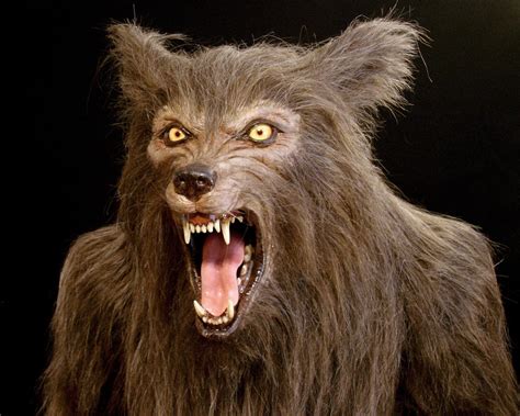 Life Sized Werewolf Statue Aka New Moon Tom Spina Designs Tom Spina
