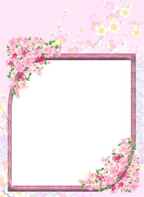 Pink Transparent Flowers Png Photo Frame Transparent Flowers Floral