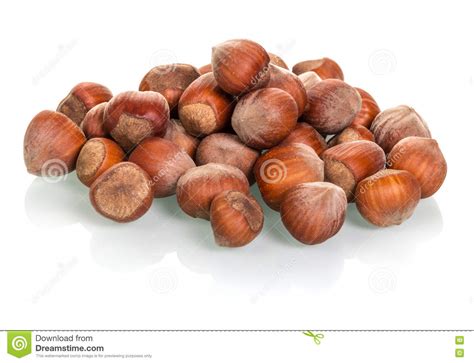 Pile Of Peeled Hazelnuts Isolated On White Stock Photo Image Of Green