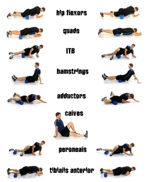 Best Foam Roller Exercises Musely
