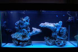 75 gallon reef tank evergreen blue. Image result for aquascaping 90 gallon reef tank | Reef ...