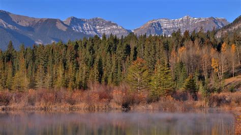 Lago Montanhas Floresta Árvores Reflexão Papel De Parede Para Celular