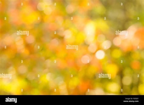 Defocused Autumn Nature Lights Background Stock Photo Alamy