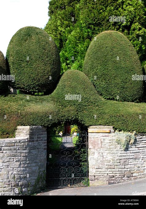 Topiary Hedge Hi Res Stock Photography And Images Alamy