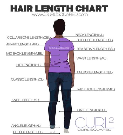 Maybe you would like to learn more about one of these? Hair Length Chart | Hair length chart, Hair lengths ...