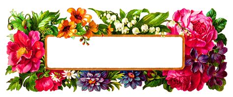 Floral frame PNG