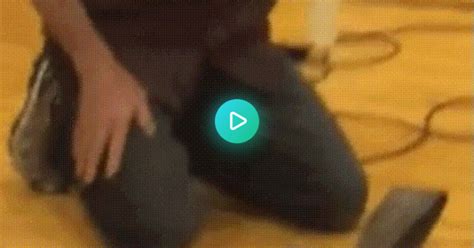 Guy Punches Bear Trap  On Imgur