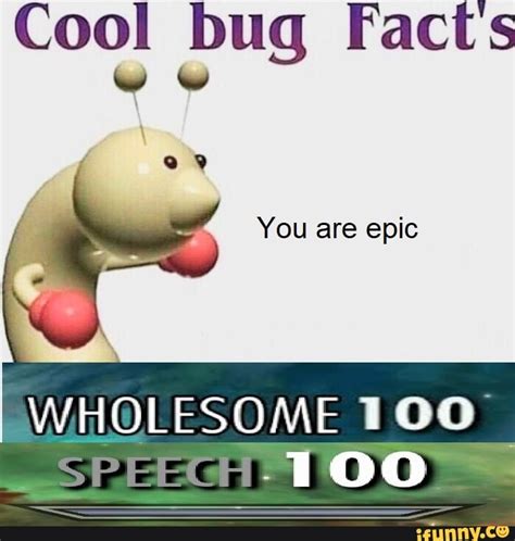 Cool Bug Facts Cool Bug Facts You Are Epic Wholesome 100 ~spe Egh