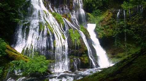 Top 5 Best Waterfall Hikes In Southern Washington